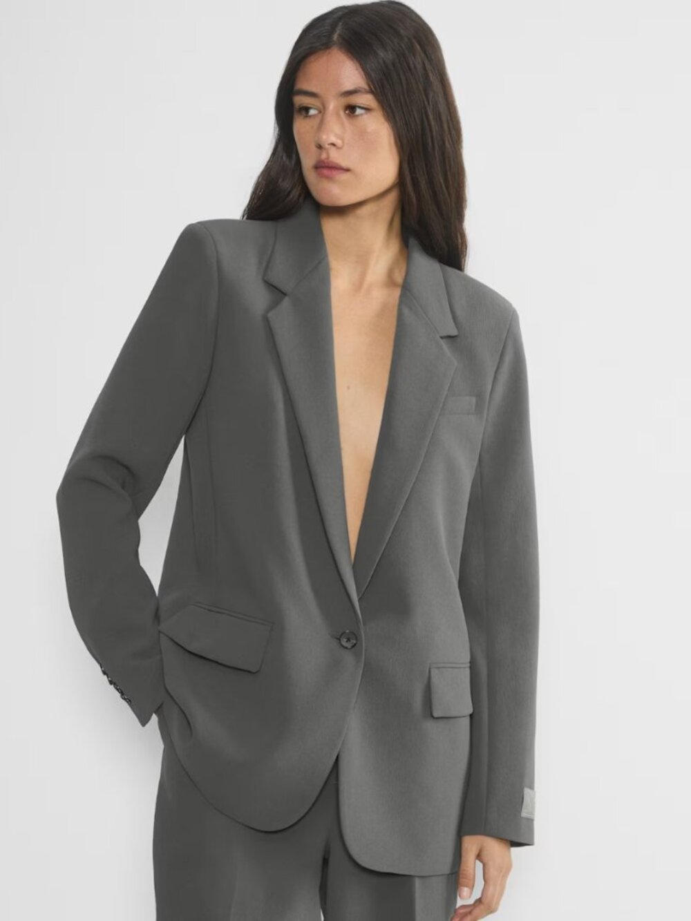 Aritzia NWT New Generation Blazer Coal Grey Sz 2 MSRP $248